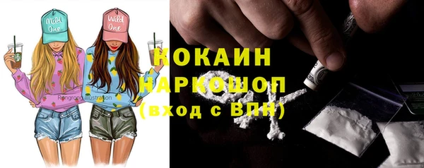 мдпв Няндома