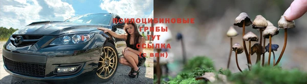 СК Абдулино