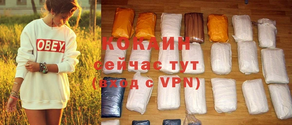 мдпв Няндома